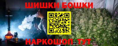 дмт Канаш