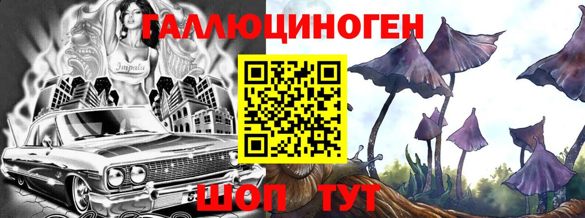 Галлюциногенные грибы GOLDEN TEACHER Краснознаменск